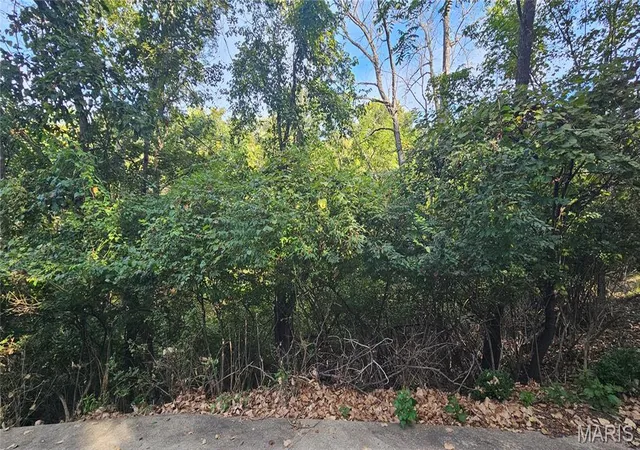 Photo 3 of Land for sale at 818 W Gray Friar, Marthasville, MO 63357 | MLS# MIS26062443 | Listing updated on 2026-10-01