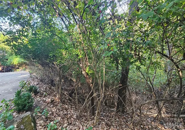 Photo 3 of Land for sale at 818 W Gray Friar, Marthasville, MO 63357 | MLS# MIS26062443 | Listing updated on 2026-10-01