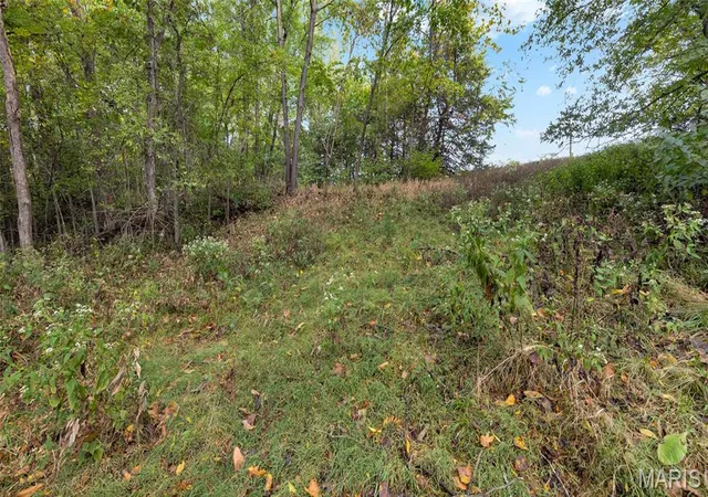 Photo 3 of Land for sale at 7924 County Rd 453, Mokane, MO 65059 | MLS# MIS26062546 | Listing updated on 2026-10-14