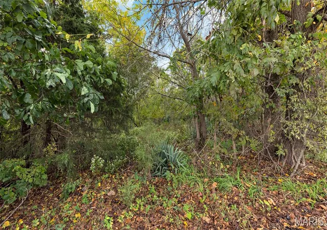 Photo 3 of Land for sale at 7924 County Rd 453, Mokane, MO 65059 | MLS# MIS26062546 | Listing updated on 2026-10-14