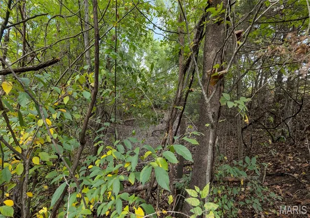 Photo 4 of Land for sale at 7924 County Rd 453, Mokane, MO 65059 | MLS# MIS26062546 | Listing updated on 2026-10-14