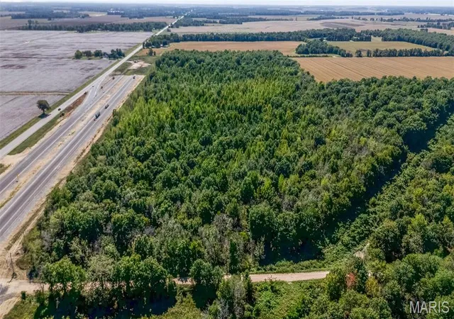 Photo 2 of Land for sale at 0 County Rd 352, Neelyville, MO 63954 | MLS# MIS26062571 | Listing updated on 2026-09-29
