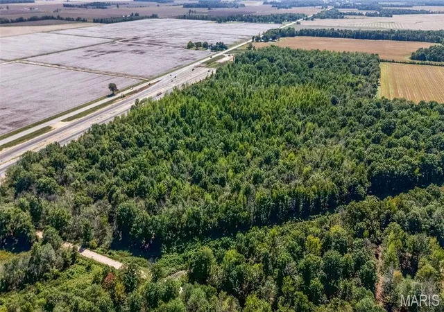 Photo 3 of Land for sale at 0 County Rd 352, Neelyville, MO 63954 | MLS# MIS26062571 | Listing updated on 2026-09-29