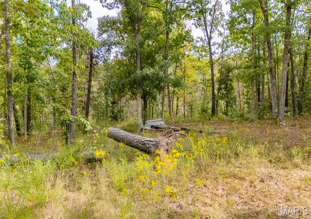 Photo 4 of Land for sale at 0 State Route T, Newburg, MO 65550 | MLS# MIS26062605 | Listing updated on 2026-09-30