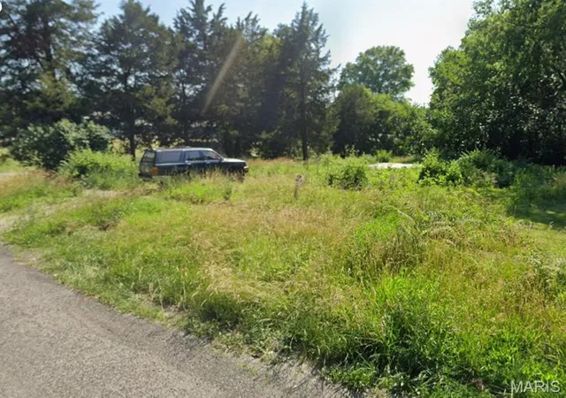 Photo 2 of Land for sale at 315 N Locust St, Litchfield, IL 62056 | MLS# MIS26062633 | Listing updated on 2026-09-30