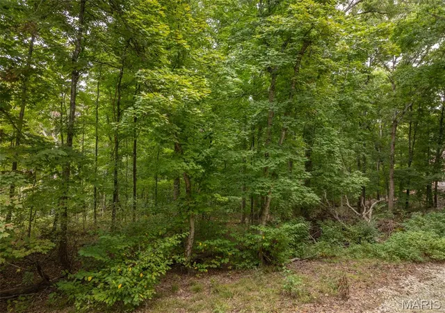 Photo 4 of Land for sale at 2527 Alpine Trails Dr, Wright City, MO 63390 | MLS# MIS26062636 | Listing updated on 2026-09-30