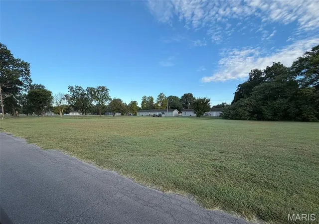 Photo 2 of Land for sale at 0 Waters, New Madrid, MO 63869 | MLS# MIS26062686 | Listing updated on 2026-09-29