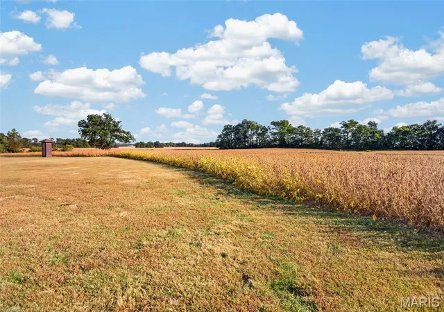 Photo 2 of Land for sale at Lot E 2 Back St, Hecker, IL 62248 | MLS# MIS26062822 | Listing updated on 2026-10-16