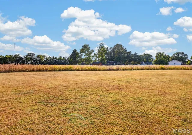 Photo 3 of Land for sale at Lot E 2 Back St, Hecker, IL 62248 | MLS# MIS26062822 | Listing updated on 2026-10-16
