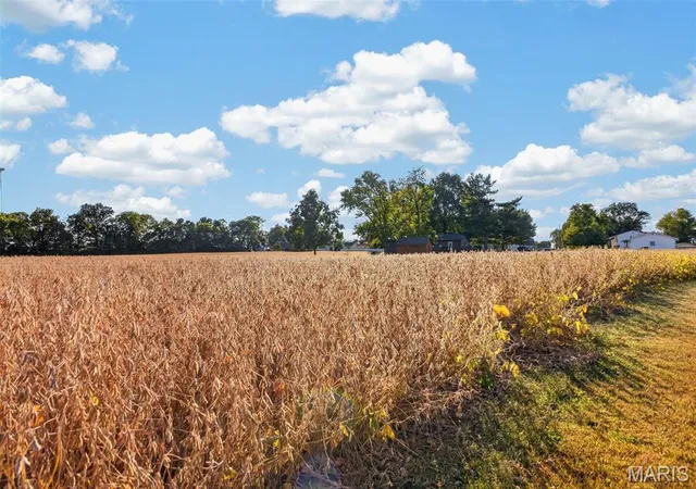 Land for sale at Lot E 2 Back St, Hecker, IL 62248 | MLS# MIS26062822 | Listing updated on 2026-10-16