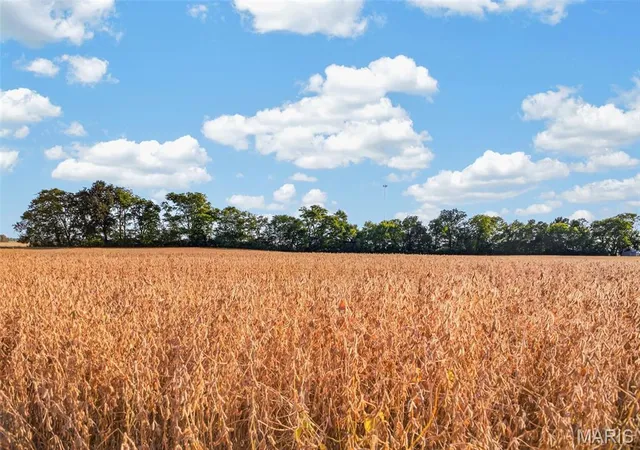 Land for sale at Lot E 2 Back St, Hecker, IL 62248 | MLS# MIS26062822 | Listing updated on 2026-10-16