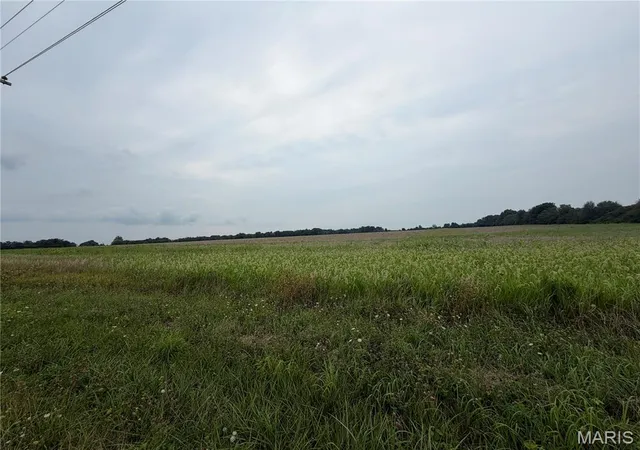 Photo 3 of Land for sale at 10 Acres Hickory Lick Rd, Wright City, MO 63390 | MLS# MIS26062867 | Listing updated on 2026-09-29