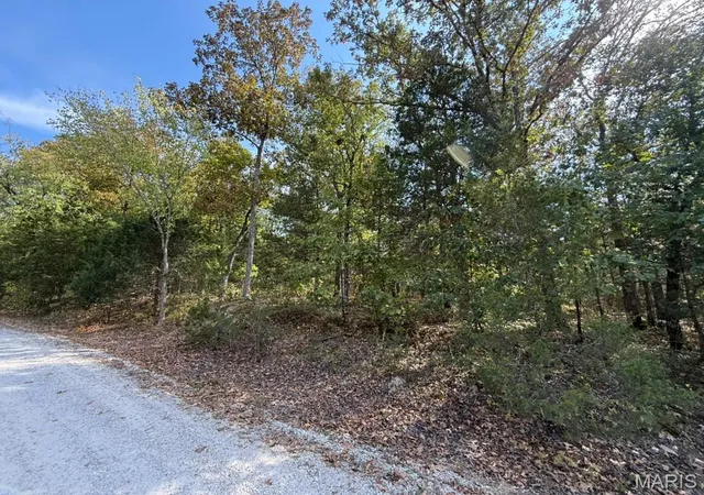Photo 3 of Land for sale at 6 685 Bunker Hl Dr, De Soto, MO 63020 | MLS# MIS26062911 | Listing updated on 2026-10-05