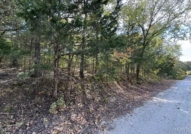 Photo 3 of Land for sale at 6-685 Bunker Hl Dr, De Soto, MO 63020 | MLS# MIS26062911 | Listing updated on 2026-10-05