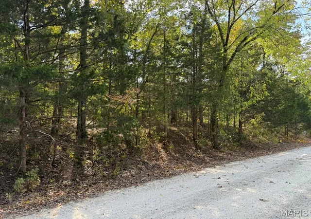 Photo 4 of Land for sale at 6-685 Bunker Hl Dr, De Soto, MO 63020 | MLS# MIS26062911 | Listing updated on 2026-10-05