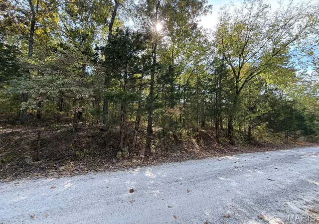 Photo 6 of Land for sale at 6-685 Bunker Hl Dr, De Soto, MO 63020 | MLS# MIS26062911 | Listing updated on 2026-10-12