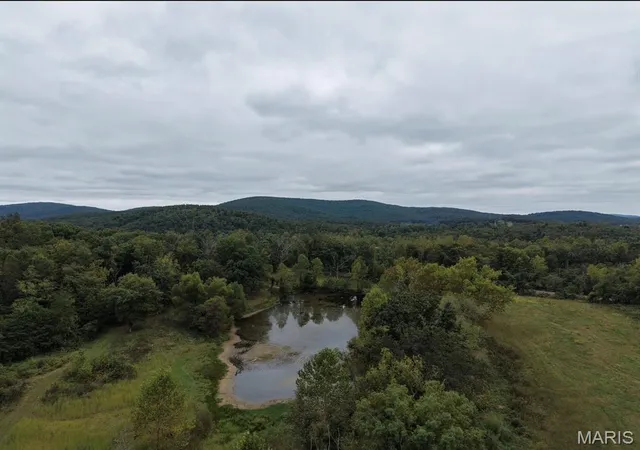 Photo 2 of Land for sale at 0 Cr 160, Des Arc, MO 63636 | MLS# MIS26062945 | Listing updated on 2026-09-30