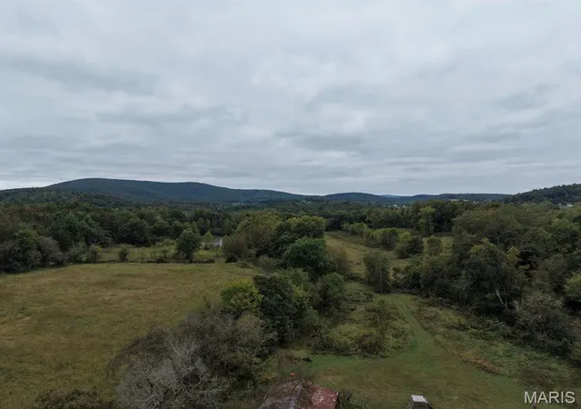Photo 3 of Land for sale at 0 Cr 160, Des Arc, MO 63636 | MLS# MIS26062945 | Listing updated on 2026-09-30