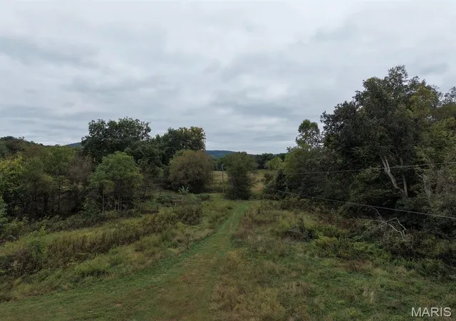 Photo 4 of Land for sale at 0 Cr 160, Des Arc, MO 63636 | MLS# MIS26062945 | Listing updated on 2026-09-30