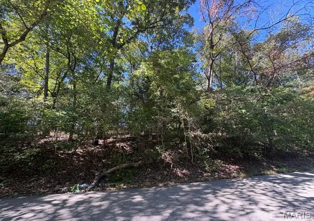 Photo 3 of Land for sale at 9583 Easy St, Hillsboro, MO 63050 | MLS# MIS26062953 | Listing updated on 2026-09-30