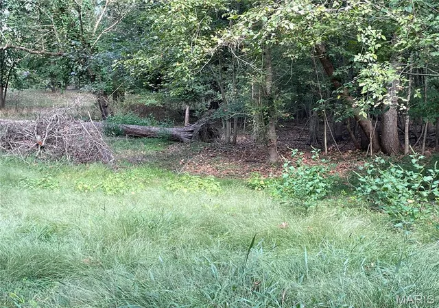 Photo 1 of Land for sale at 0 River Rd, Piedmont, MO 63957 | MLS# MIS26063094 | Listing updated on 2026-09-30