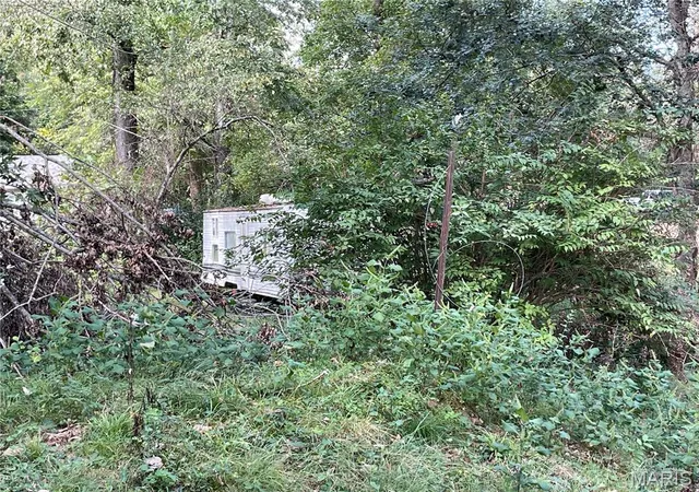 Photo 3 of Land for sale at 0 River Rd, Piedmont, MO 63957 | MLS# MIS26063094 | Listing updated on 2026-09-30