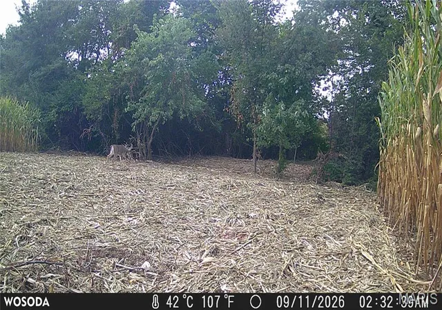 Photo 3 of Land for sale at 1993 Acres Walnut Hl Ln, Elsberry, MO 63343 | MLS# MIS26063208 | Listing updated on 2026-10-02