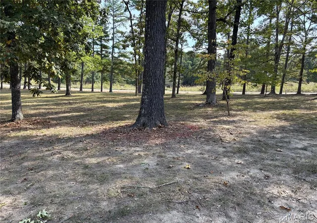 Photo 4 of Single family home for sale at 145 County Rd 5170, Salem, MO 65560 | MLS# MIS26063213 | Listing updated on 2026-10-01