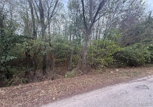 Photo 3 of Land for sale at 123 Brice St, Lebanon, MO 65536 | MLS# MIS26063390 | Listing updated on 2026-10-01