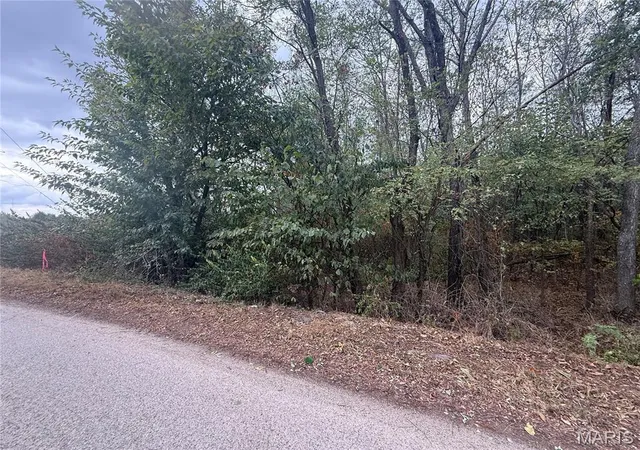 Photo 3 of Land for sale at 123 Brice St, Lebanon, MO 65536 | MLS# MIS26063390 | Listing updated on 2026-10-01