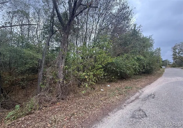 Photo 4 of Land for sale at 123 Brice St, Lebanon, MO 65536 | MLS# MIS26063390 | Listing updated on 2026-10-01