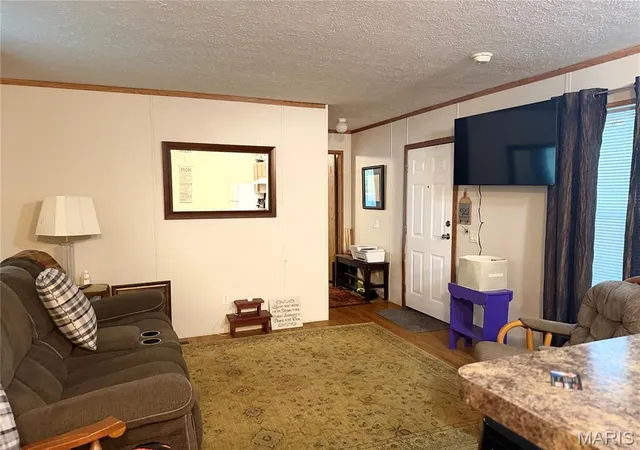 Photo 3 of Manufactured home for sale at 262 Ripley Bb 1, Fairdealing, MO 63939 | MLS# MIS26063478 | Listing updated on 2026-10-03