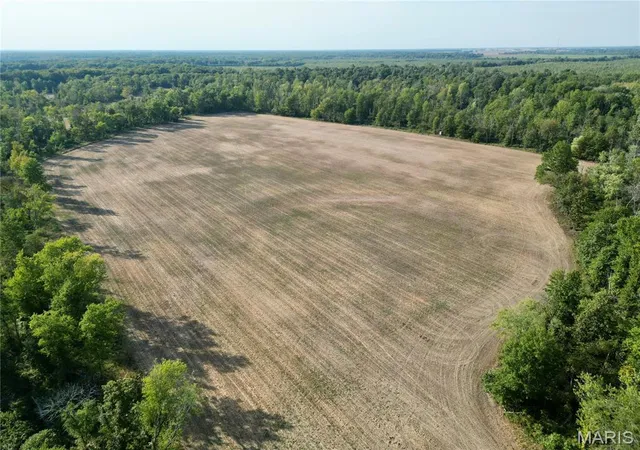 Photo 4 of Land for sale at 0 State Route 50, Clay City, IL 62824 | MLS# MIS26063525 | Listing updated on 2026-10-02