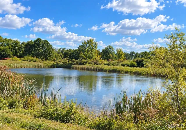 Photo 1 of Land for sale at 00 Homeyer, Owensville, MO 65066 | MLS# MIS26063548 | Listing updated on 2026-10-06