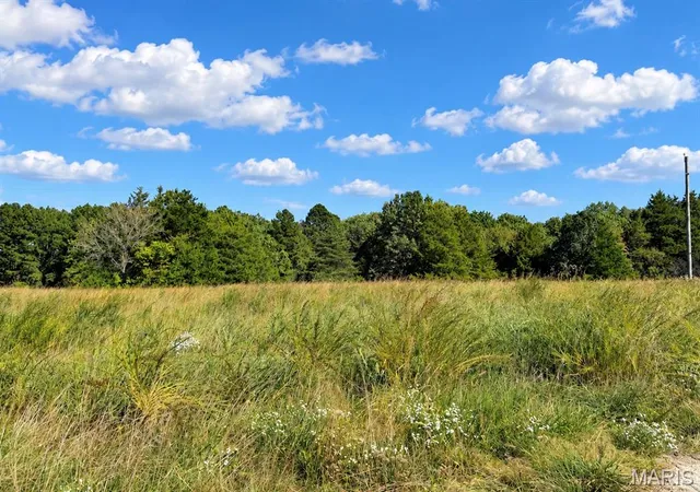 Photo 4 of Land for sale at 00 Homeyer, Owensville, MO 65066 | MLS# MIS26063548 | Listing updated on 2026-10-06