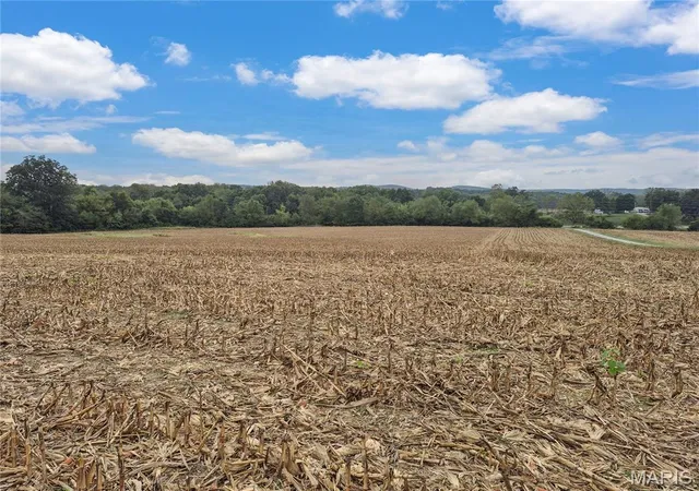 Photo 2 of Land for sale at 0 Hwy B (tract A 1060+/ Acres), Elsberry, MO 63343 | MLS# MIS26063570 | Listing updated on 2026-10-05