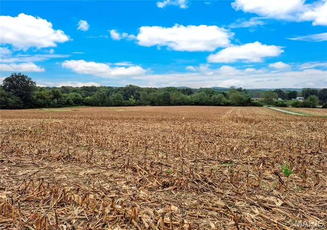 Photo 2 of Land for sale at 0 Hwy B (tract A 1060+/ Acres), Elsberry, MO 63343 | MLS# MIS26063570 | Listing updated on 2026-10-07