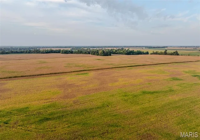 Photo 3 of Land for sale at 1664 Ayers Rd, Greenville, IL 62246 | MLS# MIS26063631 | Listing updated on 2026-10-02