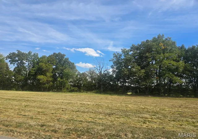 Photo 1 of Land for sale at 0 Regent Oak Dr, Dexter, MO 63841 | MLS# MIS26063772 | Listing updated on 2026-10-03