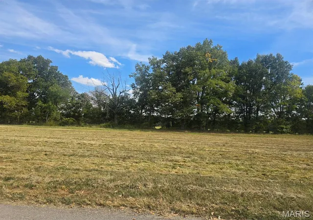 Photo 3 of Land for sale at 0 Regent Oak Dr, Dexter, MO 63841 | MLS# MIS26063772 | Listing updated on 2026-10-03