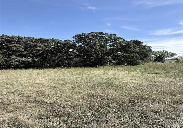 Photo 2 of Land for sale at 642 Snow Hl Dr, Saint Clair, MO 63077 | MLS# MIS26063819 | Listing updated on 2026-10-03