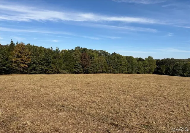 Land for sale at 5295 State Rd H, De Soto, MO 63020 | MLS# MIS26063834