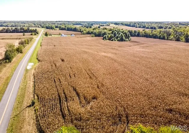 Photo 1 of Land for sale at Tbd Hwy D, Perry, MO 63462 | MLS# MIS26063918 | Listing updated on 2026-10-05