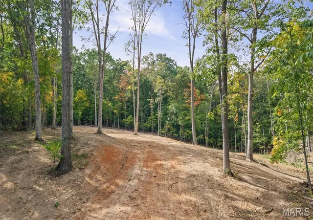 Photo 3 of Land for sale at 0 Helterbrand, Festus, MO 63028 | MLS# MIS26063922 | Listing updated on 2026-10-06