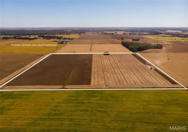 Photo 1 of Land for sale at 0 Wesselmann Rd, Carlyle, IL 62231 | MLS# MIS26064085 | Listing updated on 2026-10-17