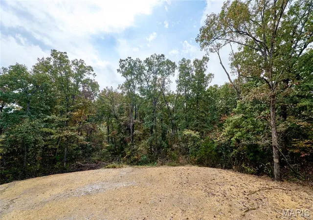 Photo 4 of Single family home for sale at 41 Sugar Crk Ct, Troy, MO 63379 | MLS# MIS26064111 | Listing updated on 2026-10-16