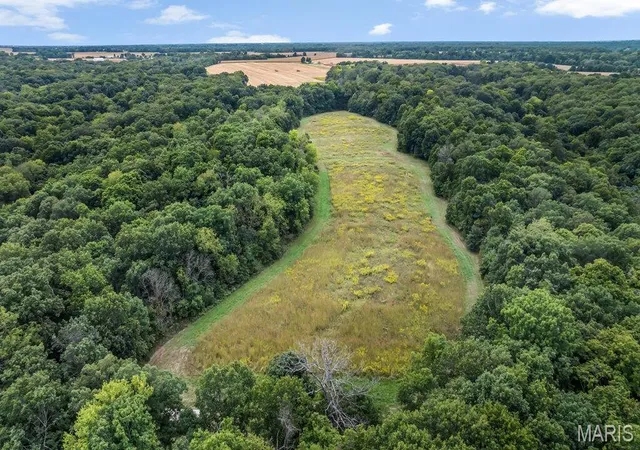 Photo 1 of Land for sale at 20661 Johnson Holw Rd, Center, MO 63436 | MLS# MIS26064132 | Listing updated on 2026-10-06