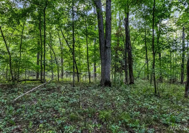 Photo 2 of Land for sale at 20661 Johnson Holw Rd, Center, MO 63436 | MLS# MIS26064132 | Listing updated on 2026-10-06