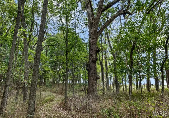 Photo 76 of Land for sale at 20661 Johnson Holw Rd, Center, MO 63436 | MLS# MIS26064132 | Listing updated on 2026-10-06