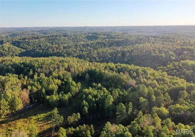 Photo 4 of Land for sale at 0 Tbd Cr 6670, Salem, MO 65560 | MLS# MIS26064185 | Listing updated on 2026-10-12